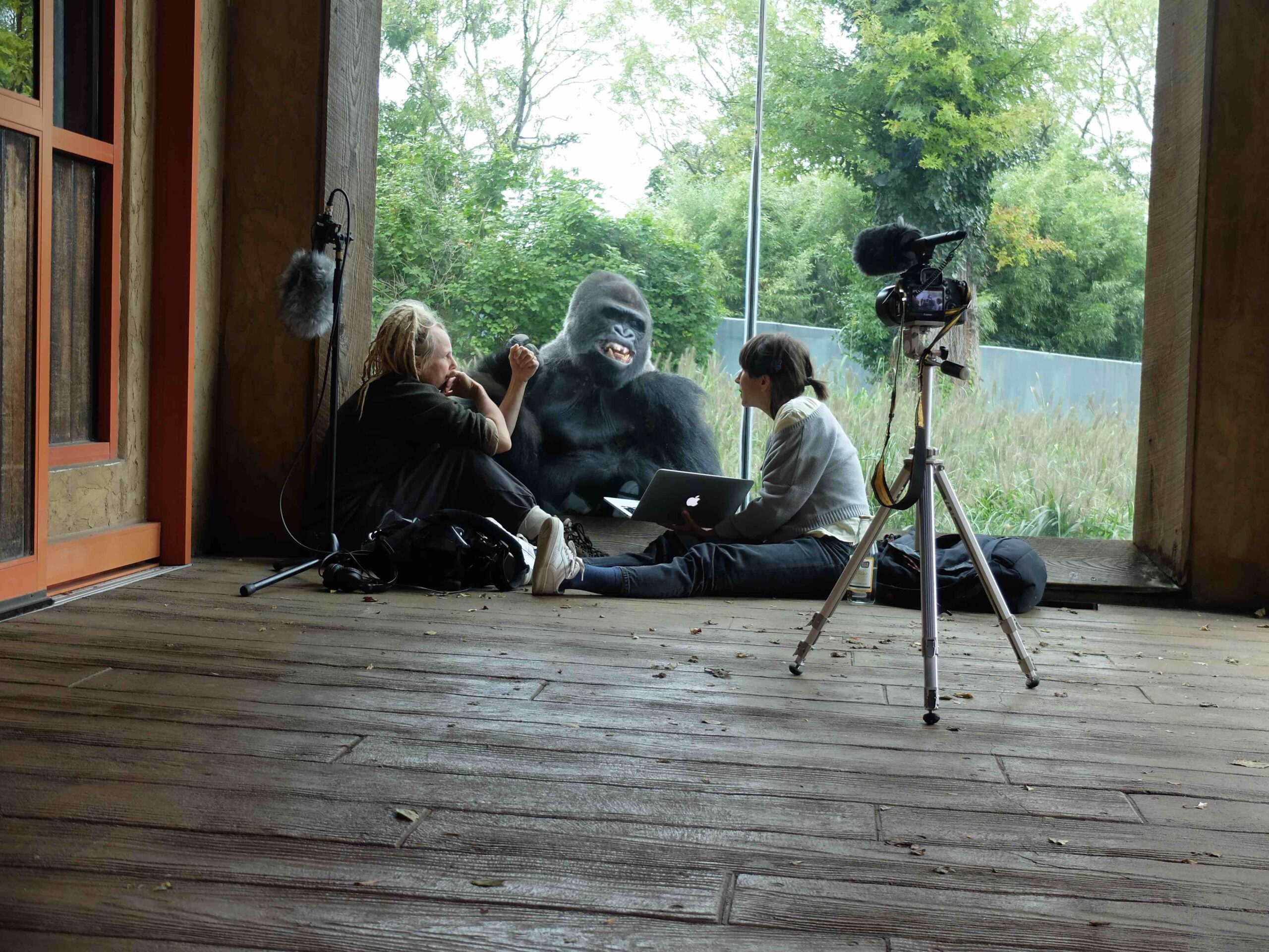 miriamjakob_choreography_zoo research_2