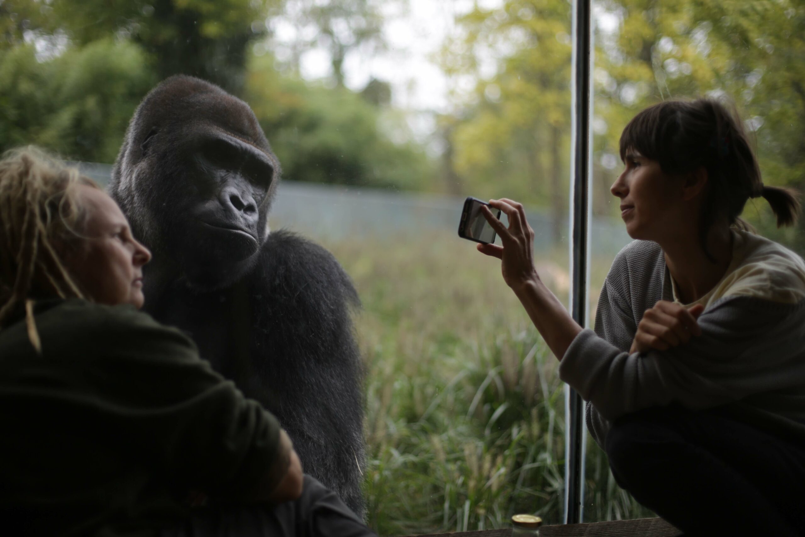 miriamjakob_choreography_zoo research_3