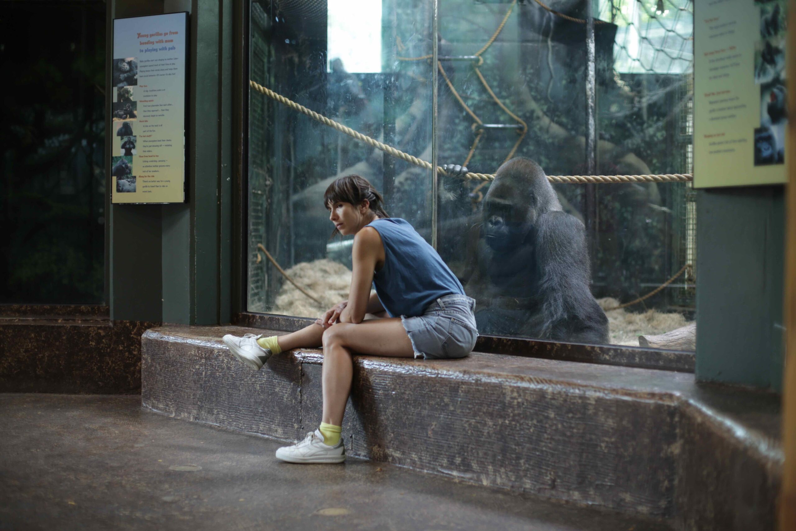 miriamjakob_choreography_zoo research_4