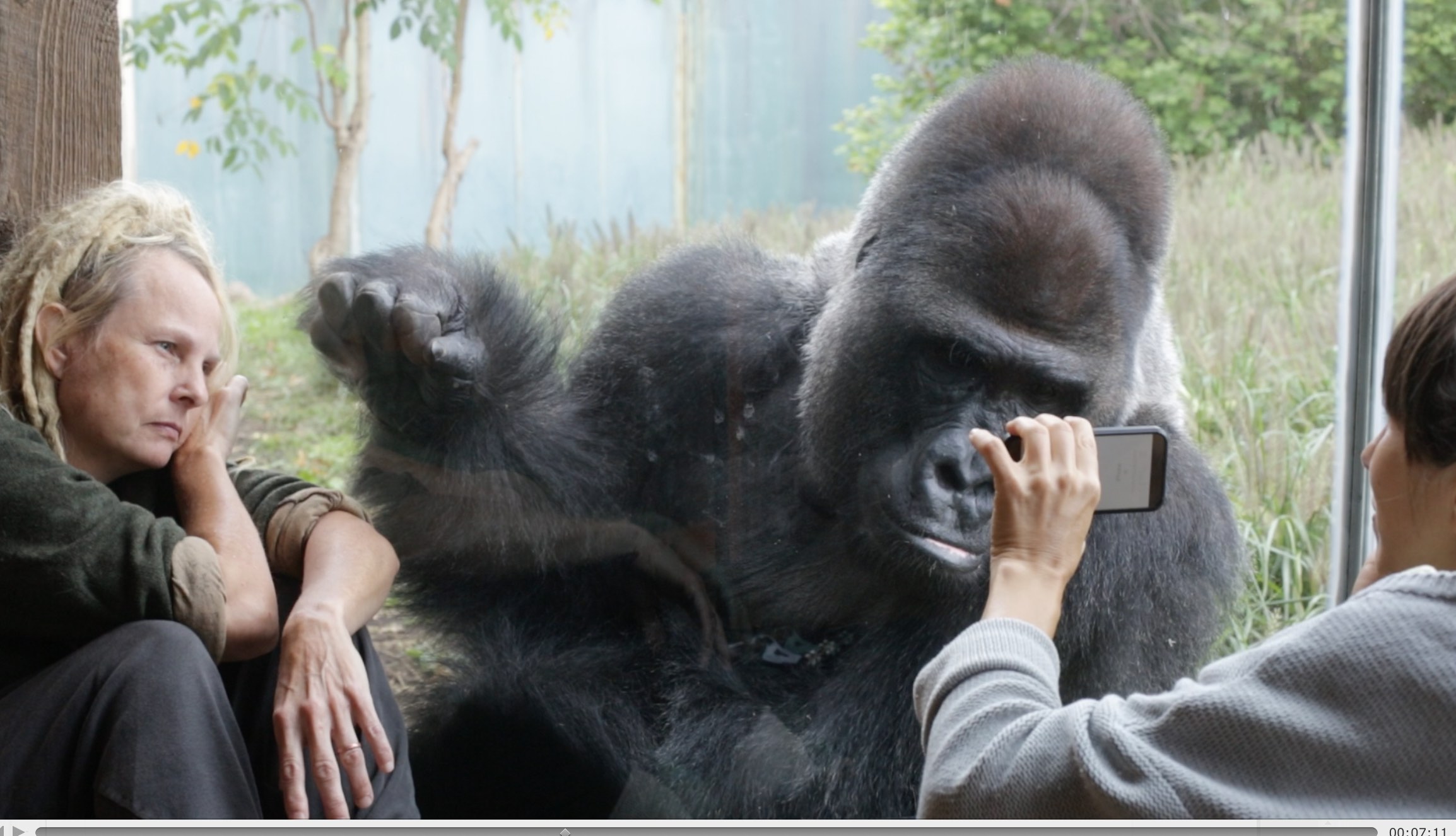 miriamjakob_choreography_zoo research_5