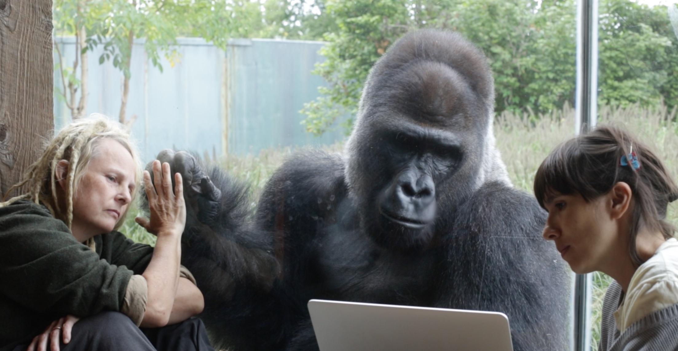 miriamjakob_choreography_zoo research_6