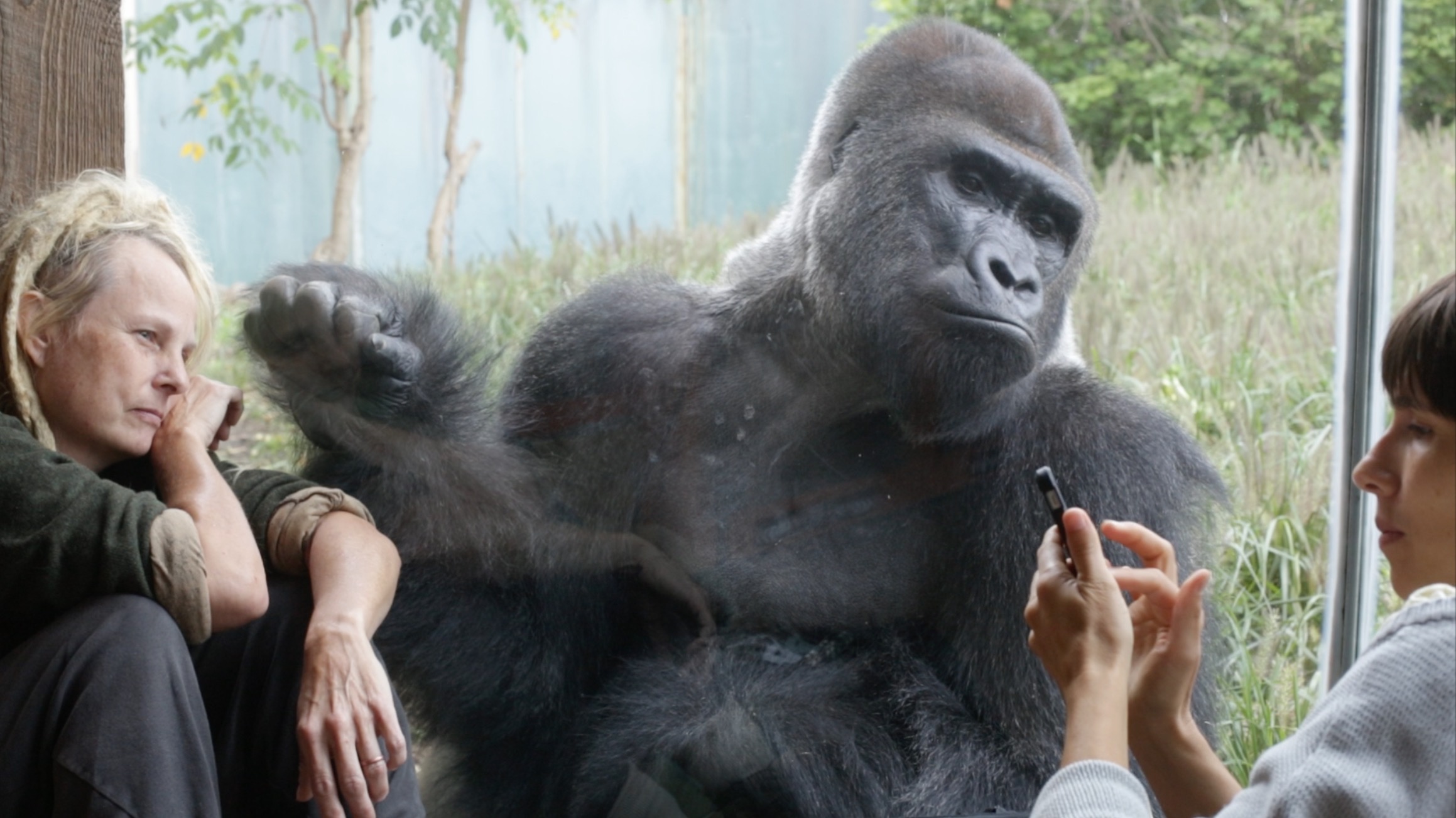 miriamjakob_choreography_zoo research_7