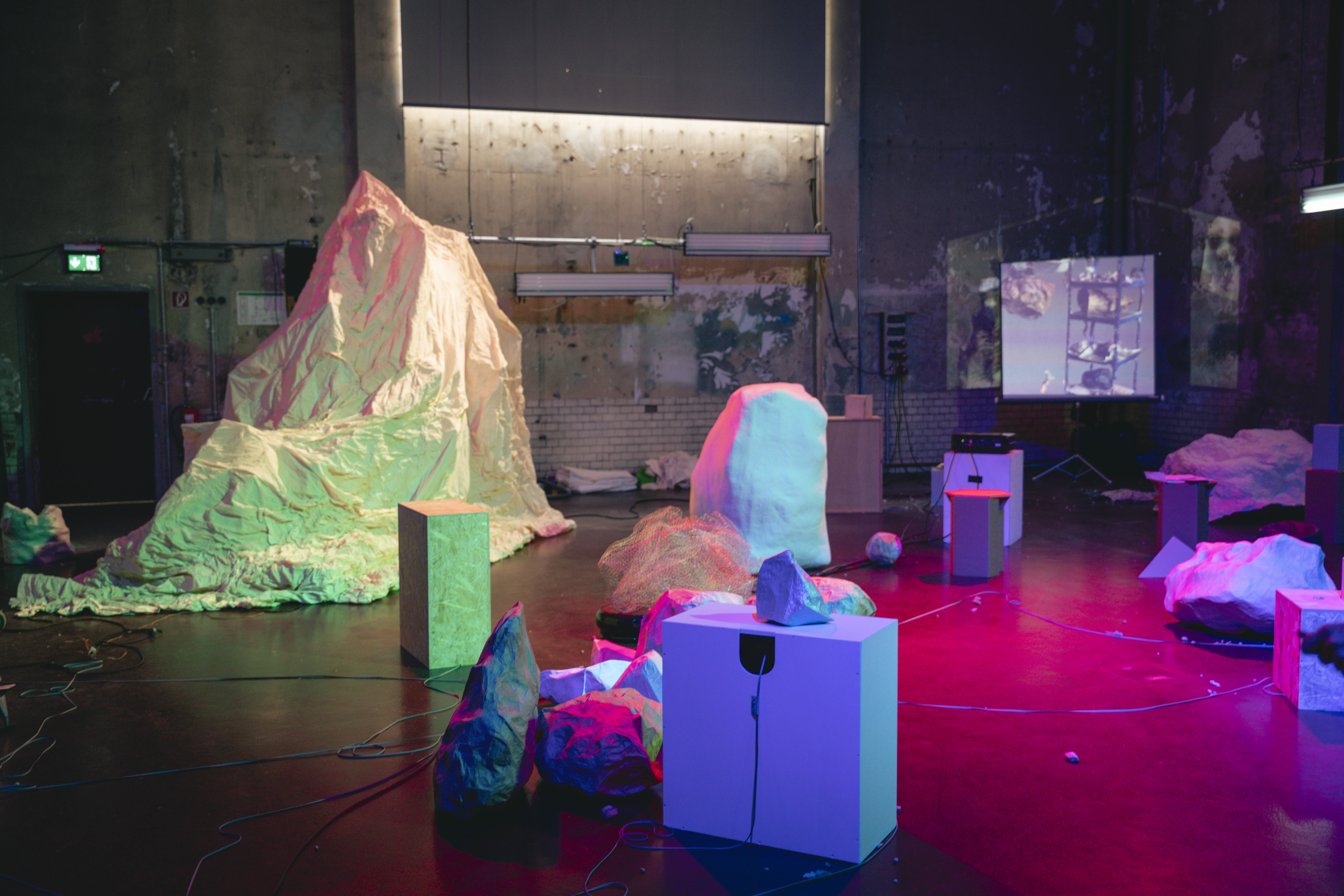 Photo: Lucía Alfaro Valencia